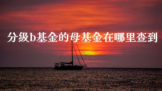 分级b基金的母基金在哪里查到_https://wap.hpmsj.cn_期货交易_第1张