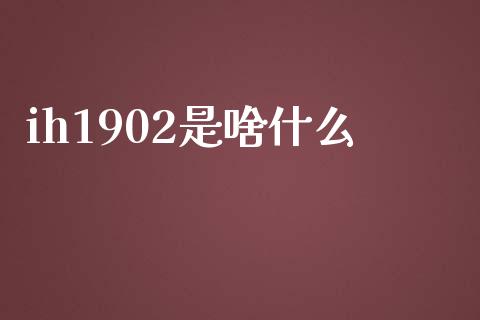 ih1902是啥什么_https://wap.hpmsj.cn_期货交易_第1张