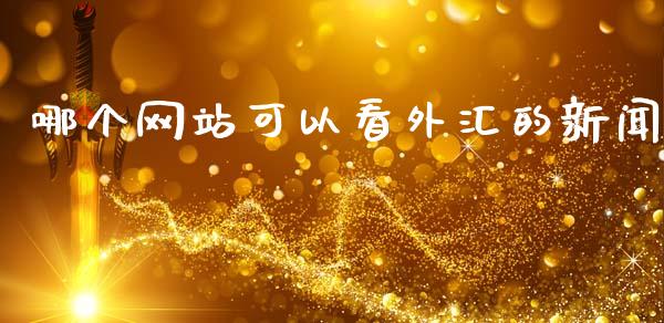 哪个网站可以看外汇的新闻_https://wap.hpmsj.cn_期货交易_第1张