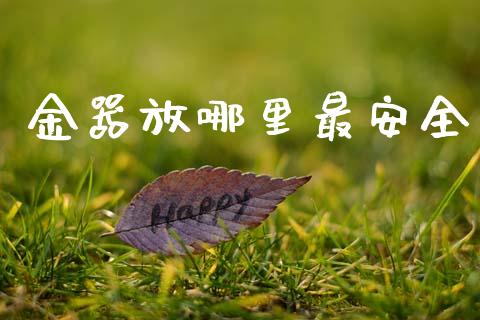金器放哪里最安全_https://wap.hpmsj.cn_债券投资_第1张