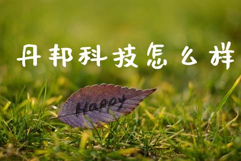 丹邦科技怎么样_https://wap.hpmsj.cn_基金分析_第1张