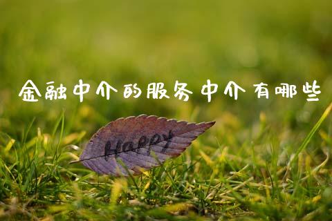 金融中介的服务中介有哪些_https://wap.hpmsj.cn_债券投资_第1张
