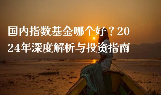 国内指数基金哪个好？2024年深度解析与投资指南_https://wap.hpmsj.cn_期货交易_第1张
