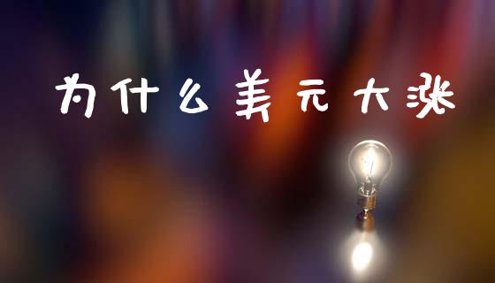 为什么美元大涨_https://wap.hpmsj.cn_债券投资_第1张