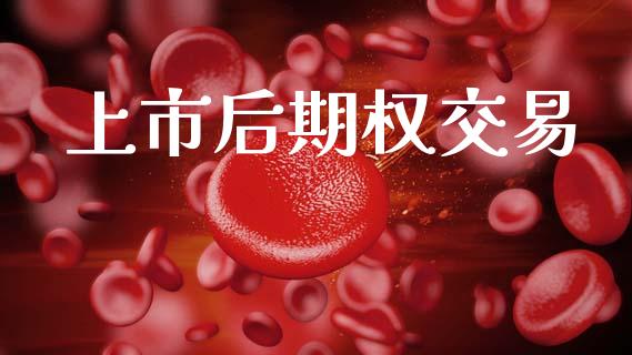 上市后期权交易_https://wap.hpmsj.cn_基金分析_第1张