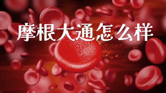 摩根大通怎么样_https://wap.hpmsj.cn_金融机构_第1张