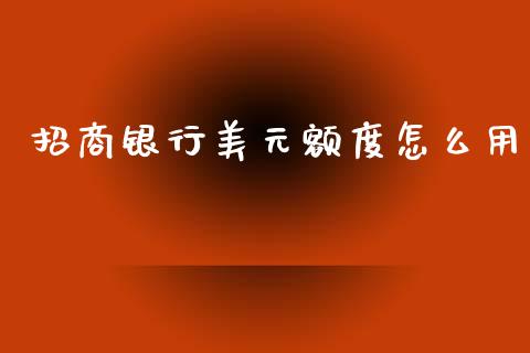 招商银行美元额度怎么用_https://wap.hpmsj.cn_债券投资_第1张
