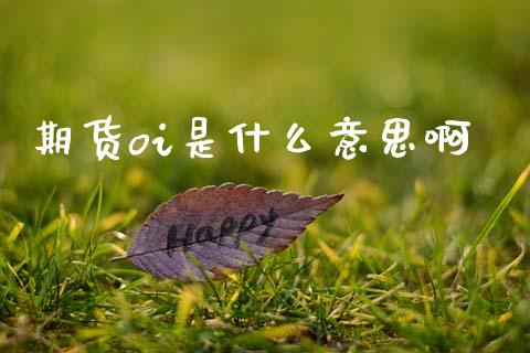 期货oi是什么意思啊_https://wap.hpmsj.cn_外汇汇率_第1张