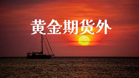 黄金期货外_https://wap.hpmsj.cn_基金分析_第1张