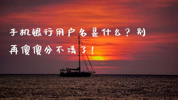 手机银行用户名是什么？别再傻傻分不清了！_https://wap.hpmsj.cn_财经时评_第1张