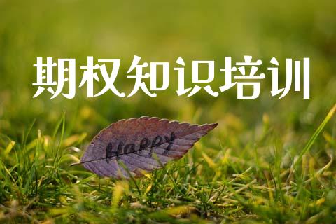 期权知识培训_https://wap.hpmsj.cn_债券投资_第1张