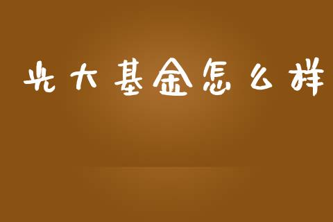 光大基金怎么样_https://wap.hpmsj.cn_外汇汇率_第1张