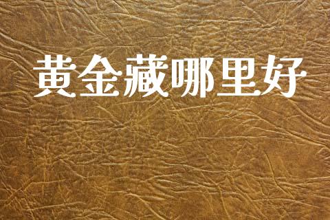 黄金藏哪里好_https://wap.hpmsj.cn_外汇汇率_第1张