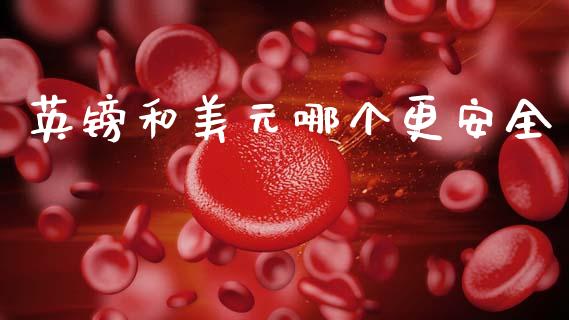 英镑和美元哪个更安全_https://wap.hpmsj.cn_债券投资_第1张