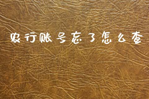 农行账号忘了怎么查_https://wap.hpmsj.cn_期货交易_第1张