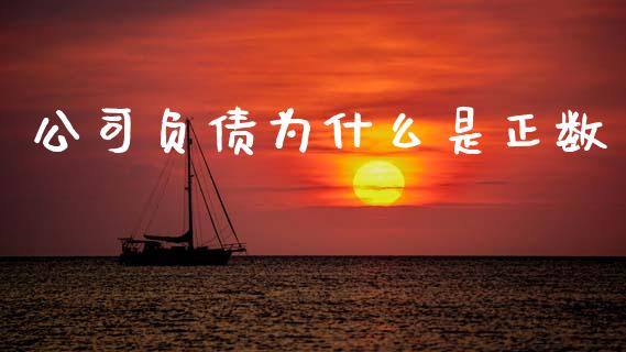公司负债为什么是正数_https://wap.hpmsj.cn_期货交易_第1张