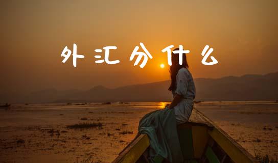 外汇分什么_https://wap.hpmsj.cn_债券投资_第1张