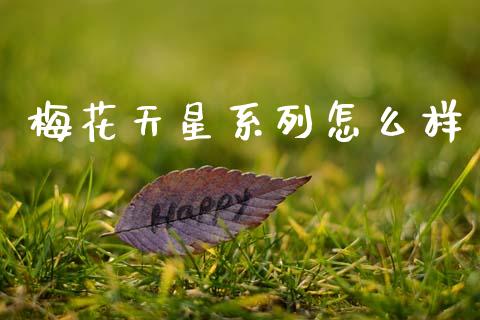 梅花天星系列怎么样_https://wap.hpmsj.cn_外汇汇率_第1张
