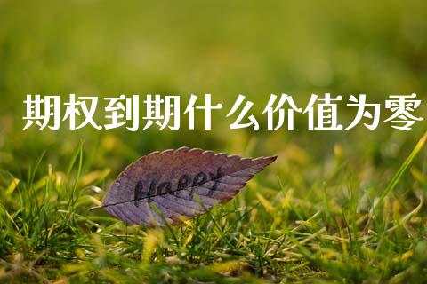 期权到期什么价值为零_https://wap.hpmsj.cn_债券投资_第1张