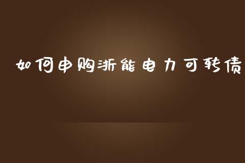 如何申购浙能电力可转债_https://wap.hpmsj.cn_财经时评_第1张