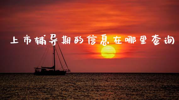 上市辅导期的信息在哪里查询_https://wap.hpmsj.cn_期货交易_第1张