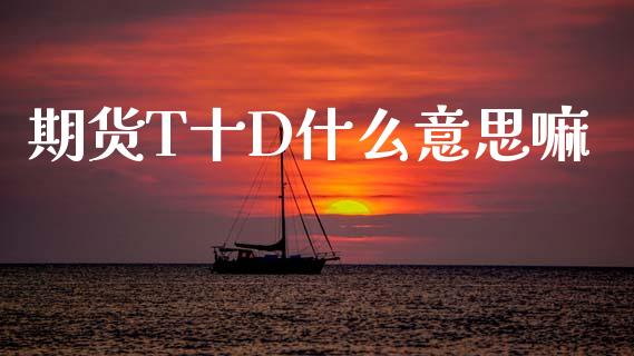 期货T十D什么意思嘛_https://wap.hpmsj.cn_外汇汇率_第1张