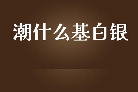 潮什么基白银_https://wap.hpmsj.cn_金融机构_第1张