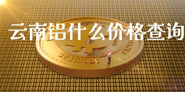 云南铝什么价格查询_https://wap.hpmsj.cn_债券投资_第1张
