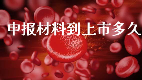 申报材料到上市多久_https://wap.hpmsj.cn_外汇汇率_第1张