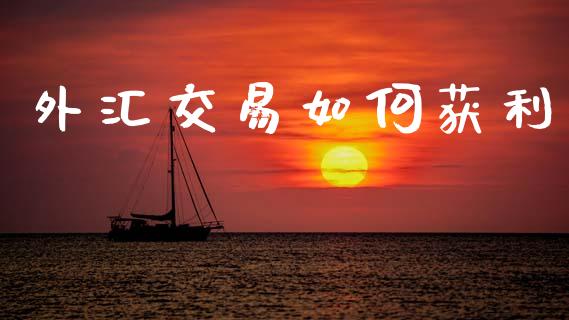 外汇交易如何获利_https://wap.hpmsj.cn_金融机构_第1张