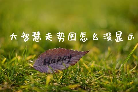 大智慧走势图怎么没显示_https://wap.hpmsj.cn_债券投资_第1张