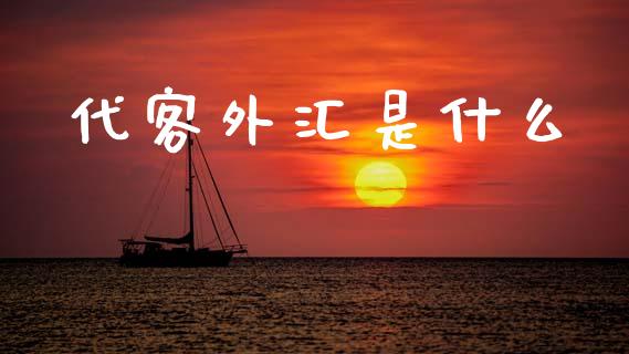 代客外汇是什么_https://wap.hpmsj.cn_债券投资_第1张
