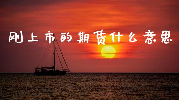 刚上市的期货什么意思_https://wap.hpmsj.cn_期货交易_第1张