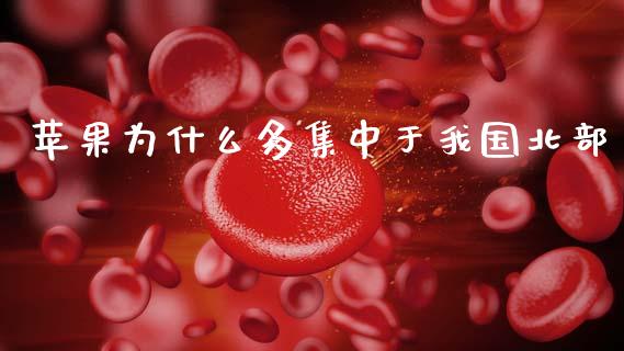 苹果为什么多集中于我国北部_https://wap.hpmsj.cn_债券投资_第1张