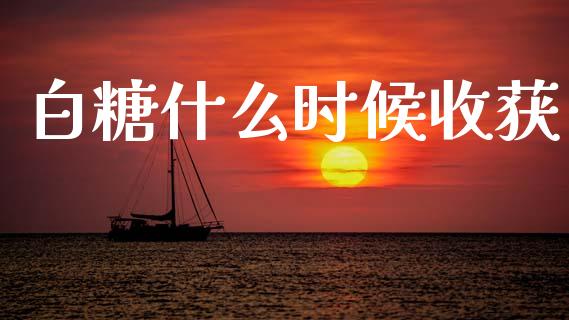 白糖什么时候收获_https://wap.hpmsj.cn_金融机构_第1张