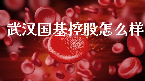 武汉国基控股怎么样_https://wap.hpmsj.cn_金融机构_第1张