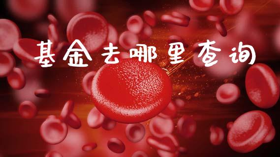 基金去哪里查询_https://wap.hpmsj.cn_金融机构_第1张