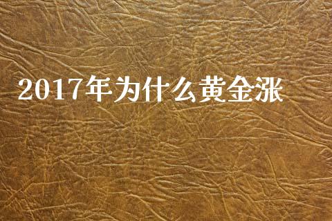 2017年为什么黄金涨_https://wap.hpmsj.cn_期货交易_第1张