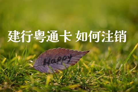 建行粤通卡 如何注销_https://wap.hpmsj.cn_基金分析_第1张