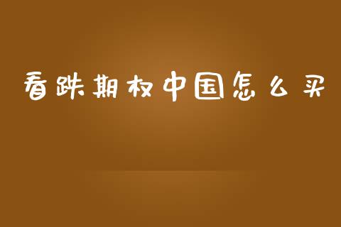 看跌期权中国怎么买_https://wap.hpmsj.cn_外汇汇率_第1张