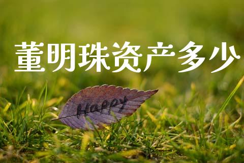 董明珠资产多少_https://wap.hpmsj.cn_债券投资_第1张