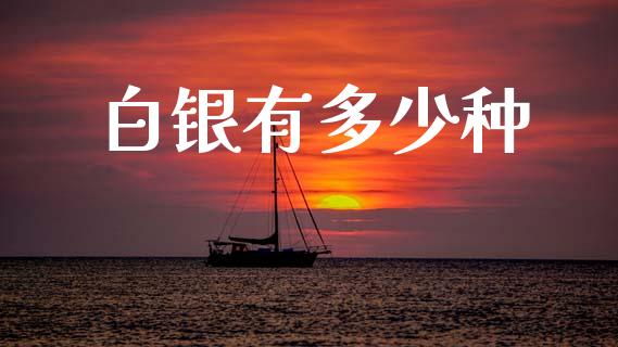 白银有多少种_https://wap.hpmsj.cn_期货交易_第1张