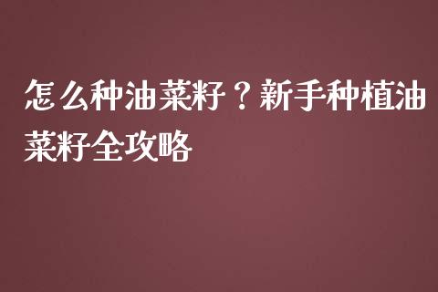 怎么种油菜籽？新手种植油菜籽全攻略_https://wap.hpmsj.cn_外汇汇率_第1张