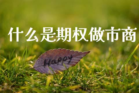 什么是期权做市商_https://wap.hpmsj.cn_外汇汇率_第1张