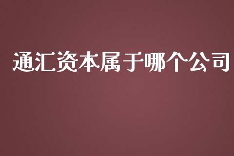 通汇资本属于哪个公司_https://wap.hpmsj.cn_财经时评_第1张