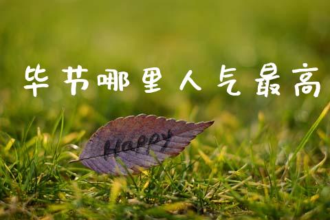 毕节哪里人气最高_https://wap.hpmsj.cn_外汇汇率_第1张