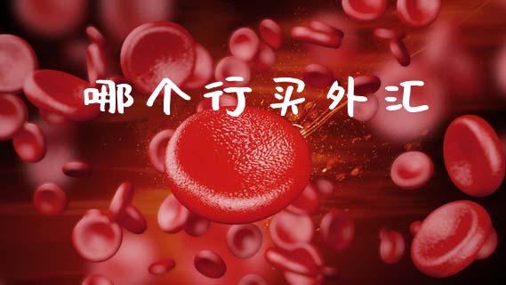 哪个行买外汇_https://wap.hpmsj.cn_金融机构_第1张