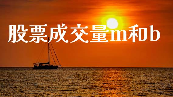 股票成交量m和b_https://wap.hpmsj.cn_债券投资_第1张