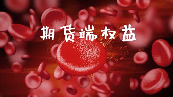 期货端权益_https://wap.hpmsj.cn_期货交易_第1张
