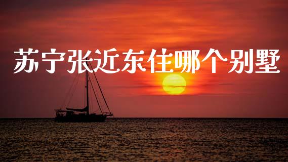 苏宁张近东住哪个别墅_https://wap.hpmsj.cn_基金分析_第1张